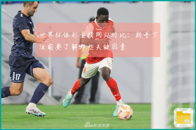 世界杯体彩竞猜网站对比：新手下注前要了解哪些关键因素