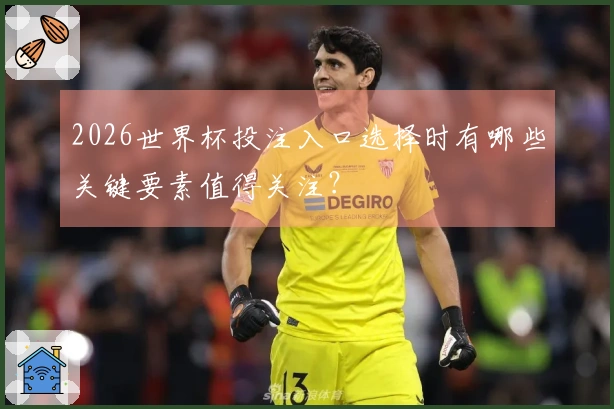 2026世界杯投注入口选择时有哪些关键要素值得关注？