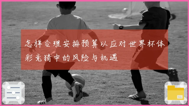 怎样合理安排预算以应对世界杯体彩竞猜中的风险与机遇