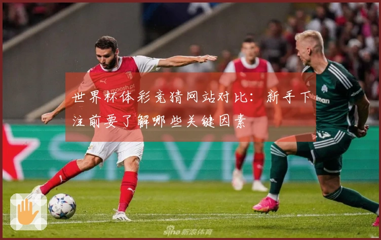 世界杯体彩竞猜网站对比：新手下注前要了解哪些关键因素
