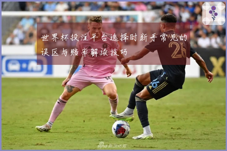 世界杯投注平台选择时新手常见的误区与赔率解读技巧